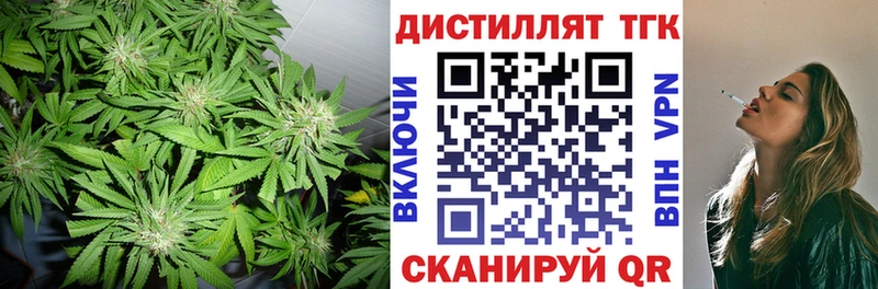 Купить закладки  Чегем  ТГК концентрат 