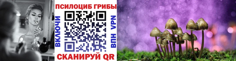 Купить закладки  Чегем  Галлюциногенные грибы мухоморы 