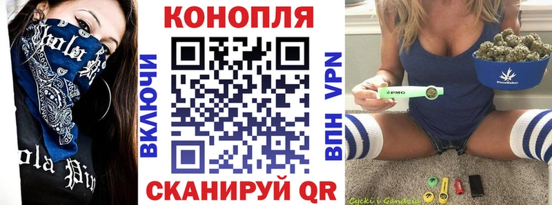 Конопля план  Купить закладки  Чегем 